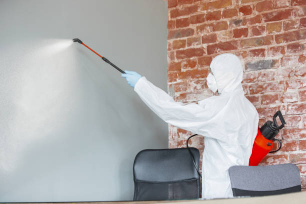 Best Post-Remediation Verification Testing  in Oak Park, MI