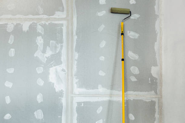 Professional Mold Removal in Oak Park, MI