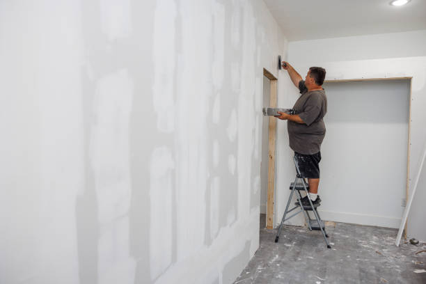 Best Crawl Space Mold Remediation  in Oak Park, MI